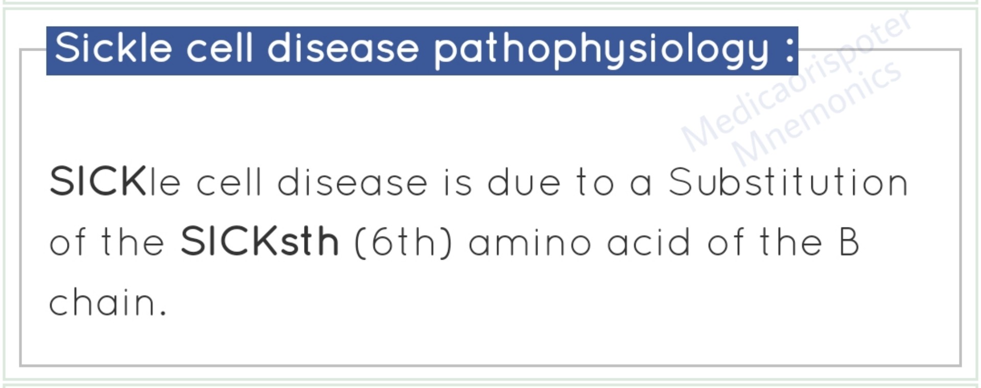 preview of Sickle Cell Anaemia Pathophysiology.jpg